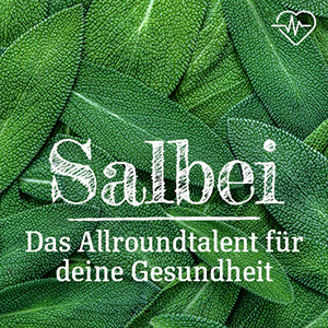 Salbei: Das Allroundtalent für deine Gesundheit